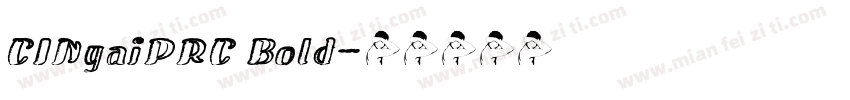 CINgaiPRC Bold字体转换
